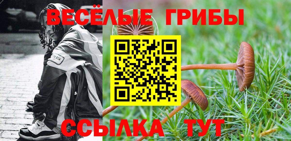 Псилоцибиновые грибы Cubensis  Вход с VPN  Выборг 